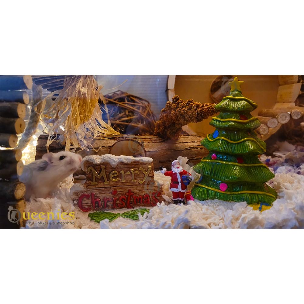Kerst artikelen voor Knaagdieren