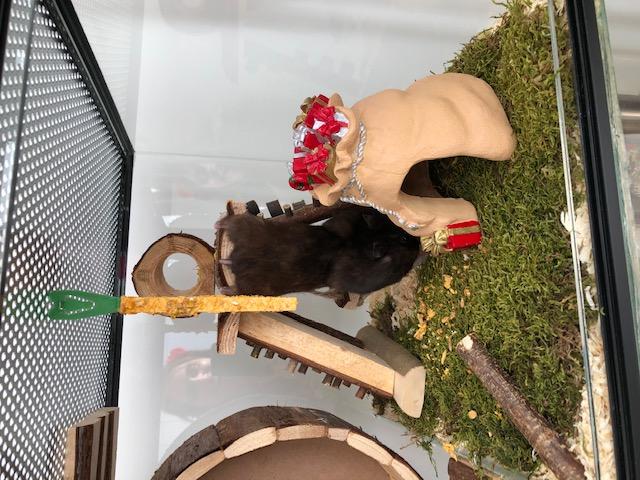 Gerbil en hamsterhuis Kerstzak