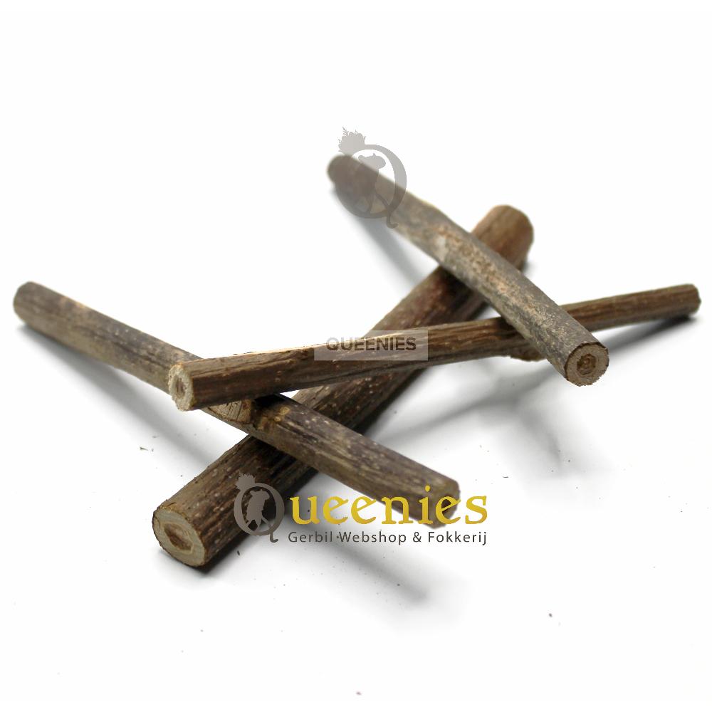 Kiwi knabbelhout voor Gerbils