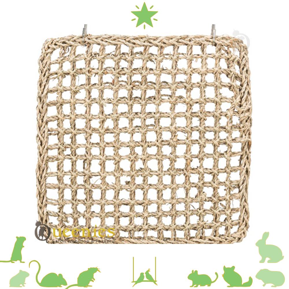 Klimmat van zeegras voor Knaagdieren en vogels