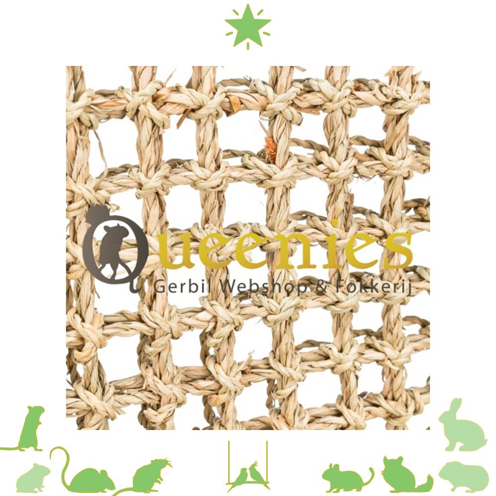 Zeegras klimmat voor Gerbils