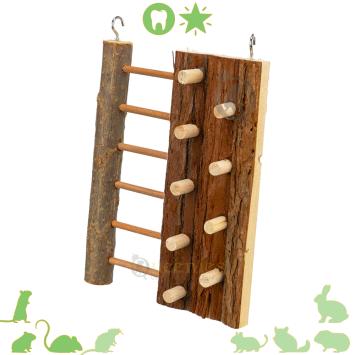 Klimwand of klimmuur voor knaagdieren