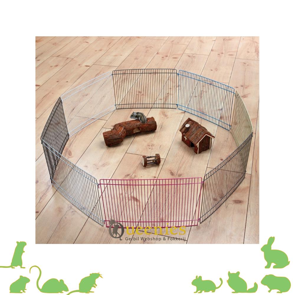 Hamster ren met kleuren