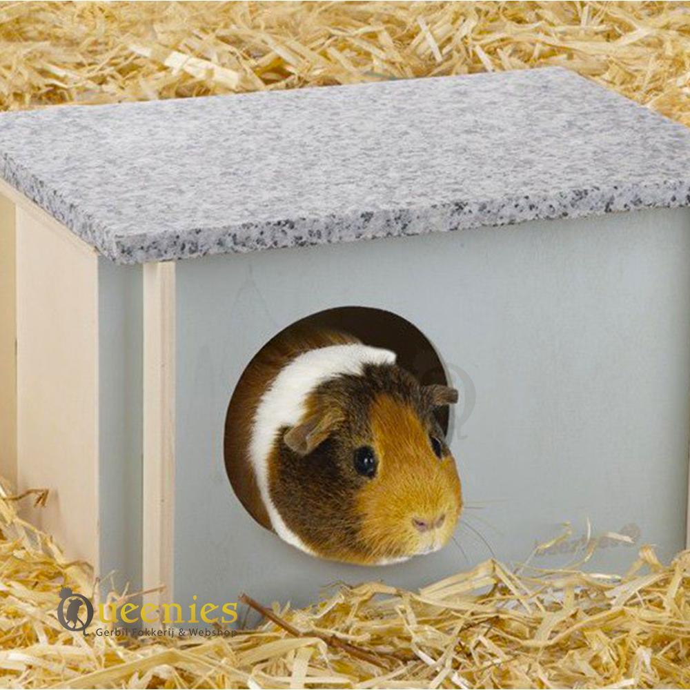 Knaagdier Koelhuisje Cico met Knaagdier