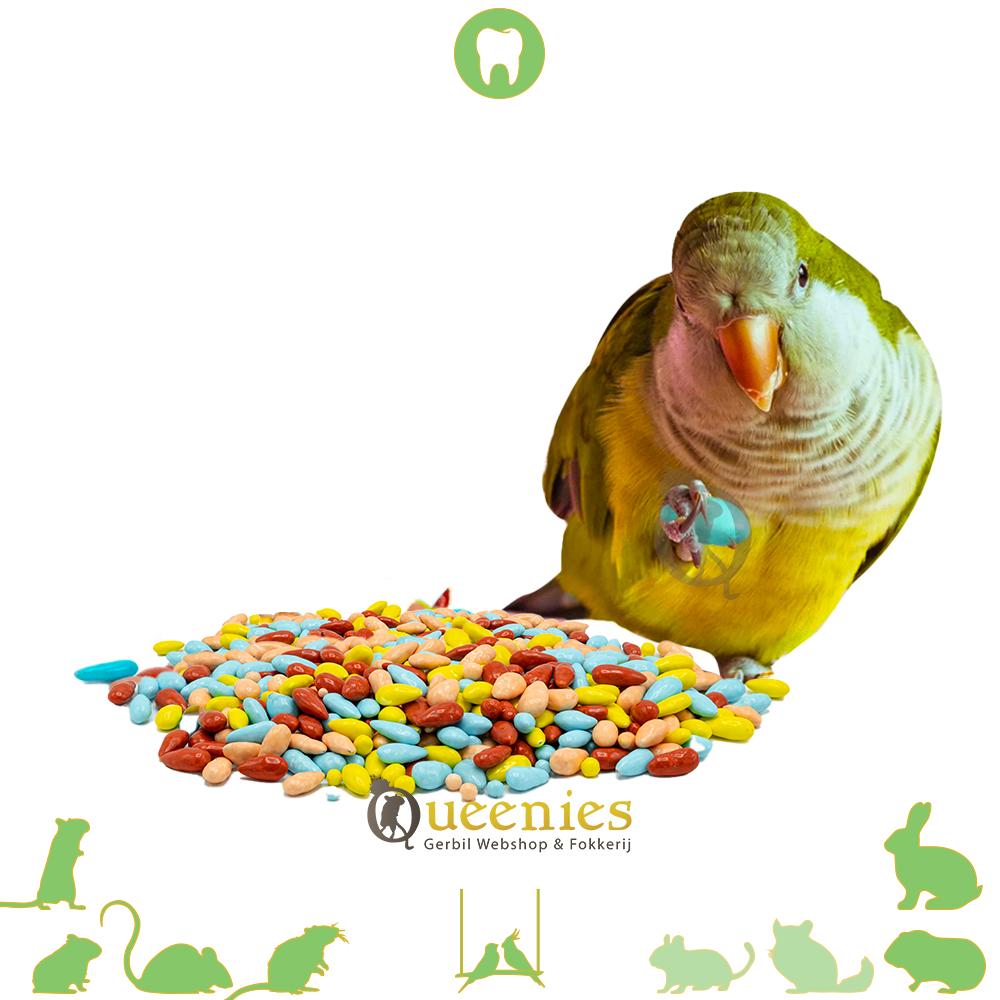 Zonnebloemzaad verwennerij voor vogel