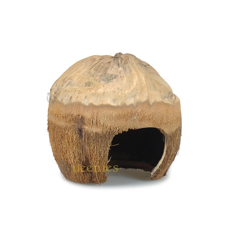 Natuurlijk uitziende kokosnoot hut