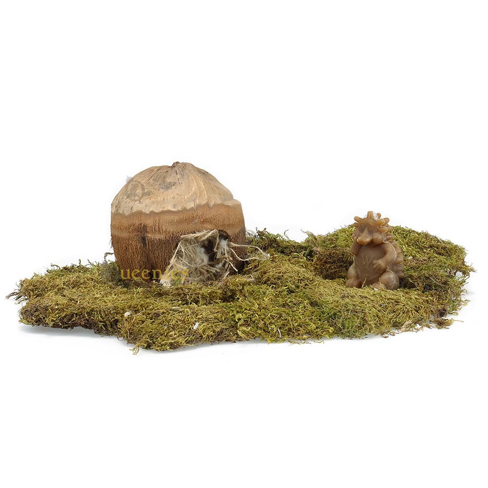 Natuurlijk kokosnoot huisje voor hamsters