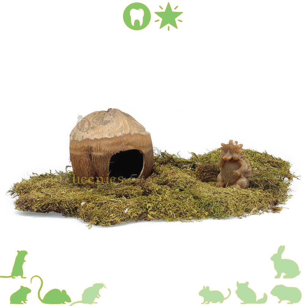 Kokosnoot hutje voor knaagdieren als schuilplek