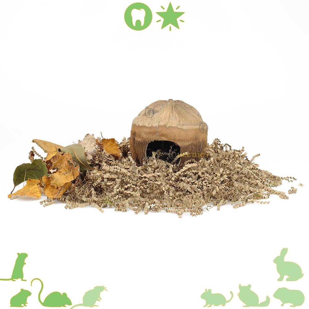 Kokosnoot huisje met opening