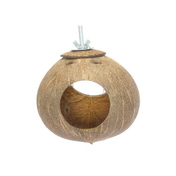 Jungle kokosnoot met 2 gaten