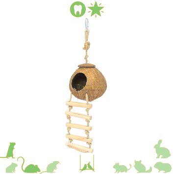 Kokosnoothuis voor klimmende knaagdieren