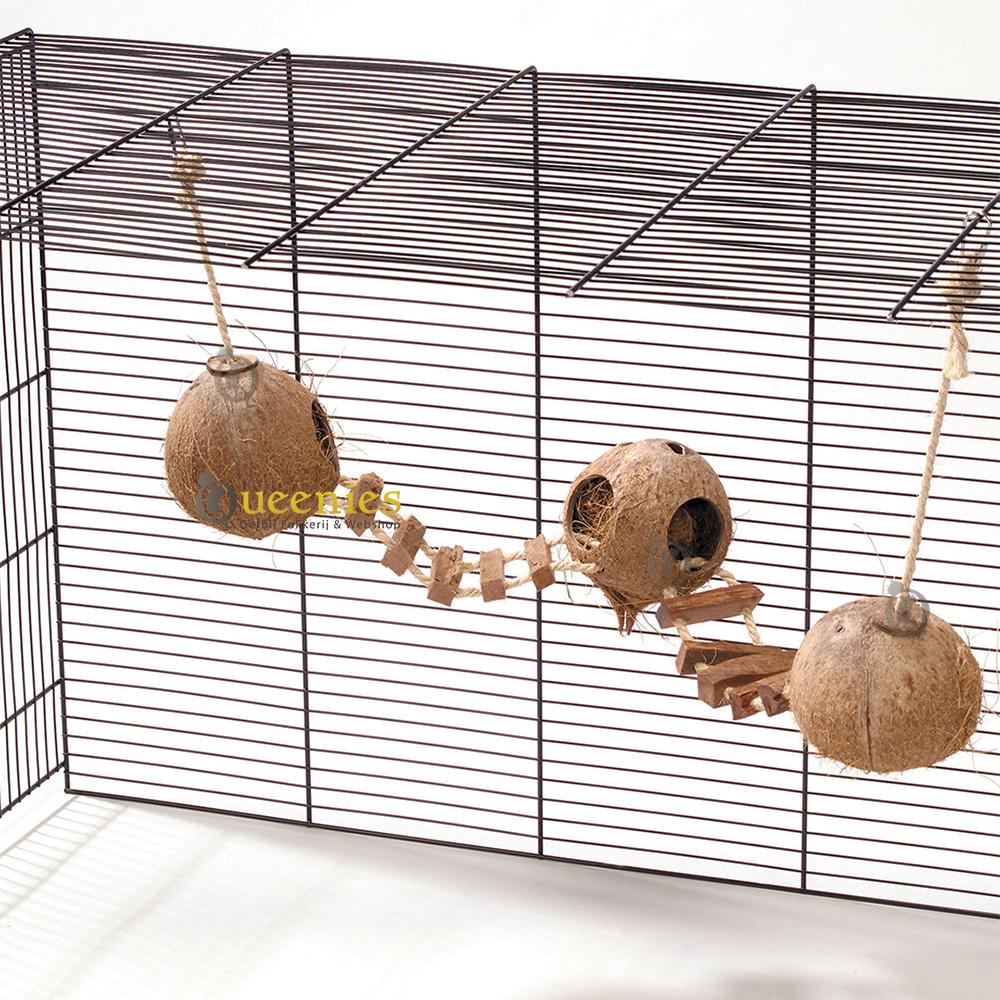 3 dubbel hangende kokosnoten