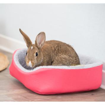 Konijnen mand met comfortabele rand