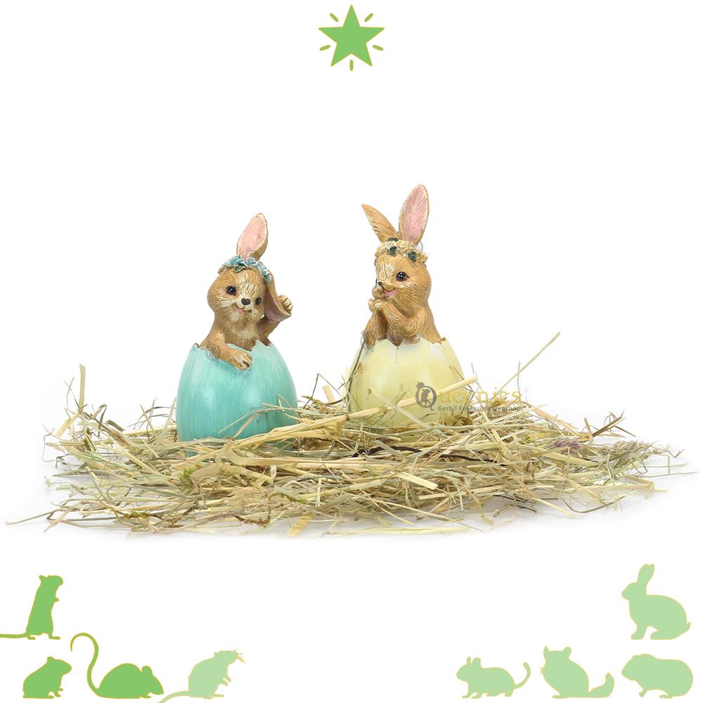 Konijn in ei – Paas decoratie voor Hamsterscaping