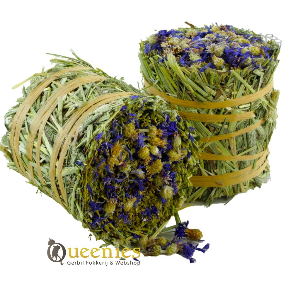 Timothy Hooi rol met Korenbloem smaak voor Degoes