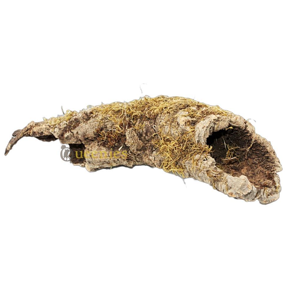 Kurk in Hamsterscaping - Kurktunnel S