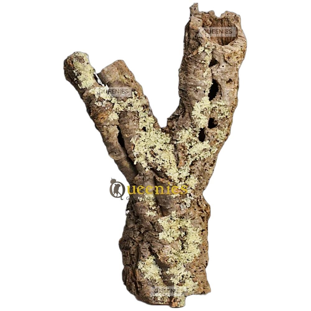 Enorme kurktunnel voor huis decoratie