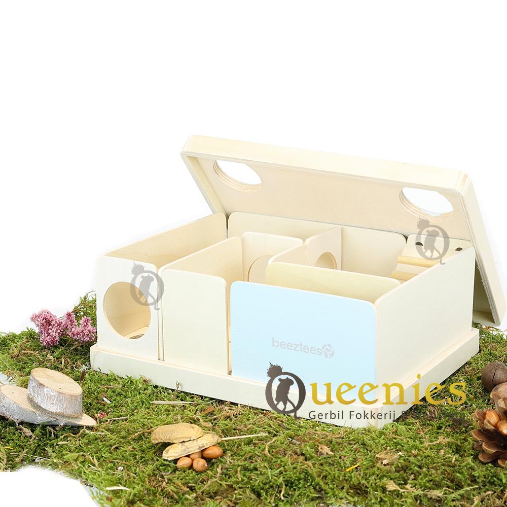 Doolhof of Labyrint voor Muizen en Hamsters