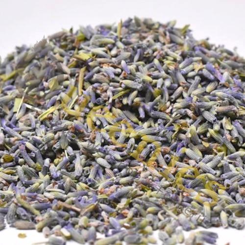 Lavendel als gezonde dierenkruid