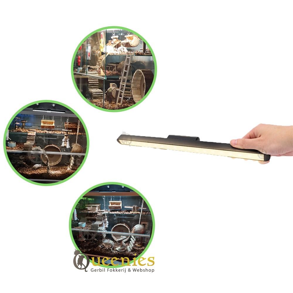 Ledverlichting voor Knaagdieren Terrarium