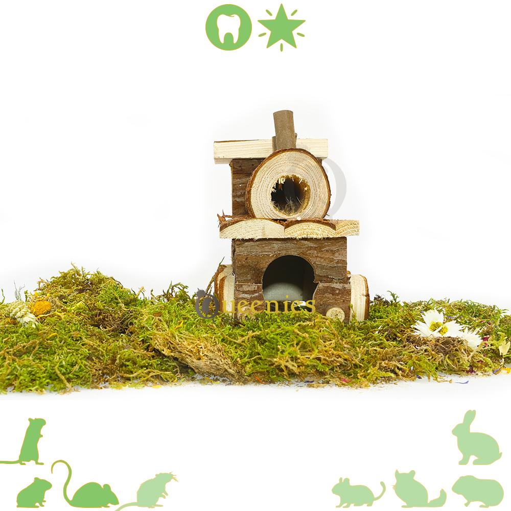 Knaagdierhuis Locomotief voor Hamsters