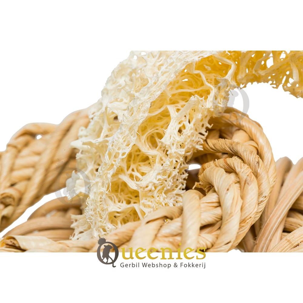 Luffa Wilgen ringen speelgoed voor Muizen