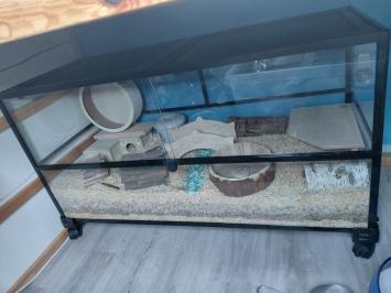 Universele wielen voor HabiTerra terraria