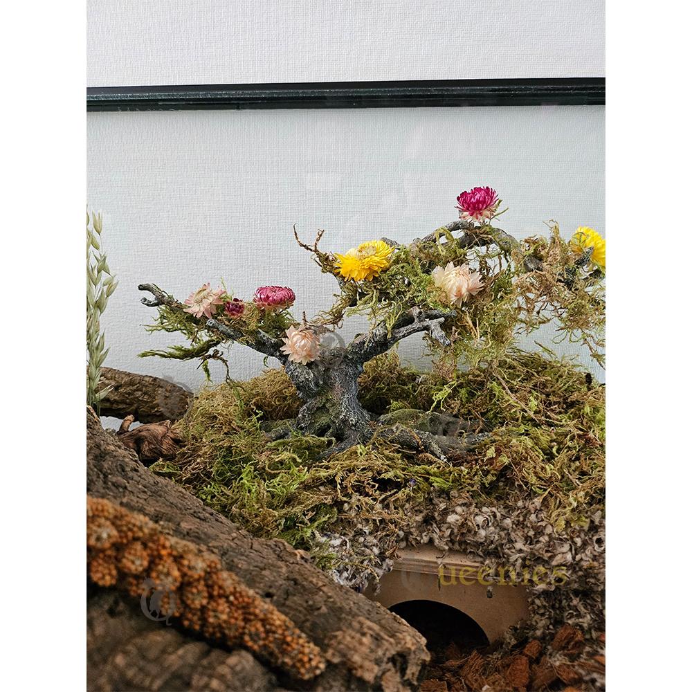 Zomerse bloeiende Hamsterscape Bonsai Boom