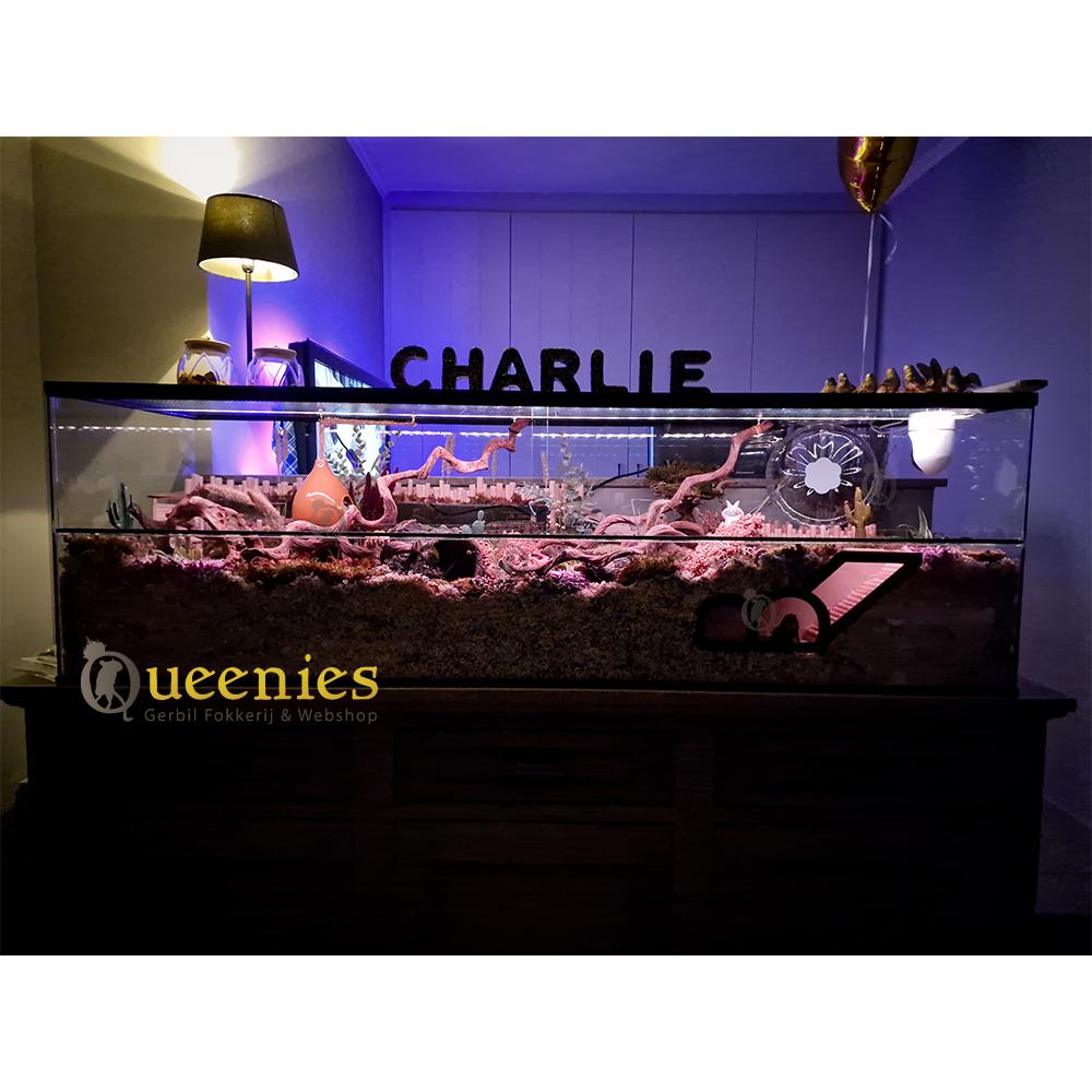 Magnetische LED Lamp - Oplaadbaar