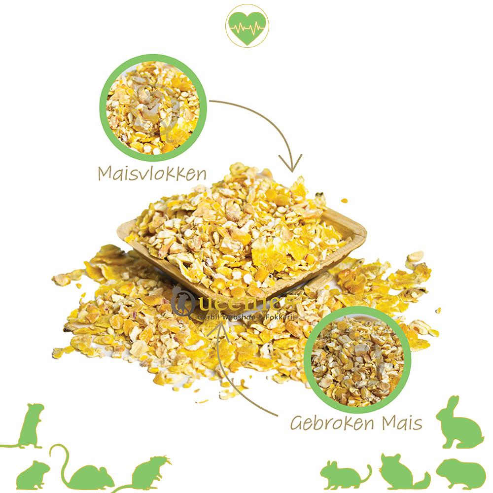 Mais voor knaagdieren