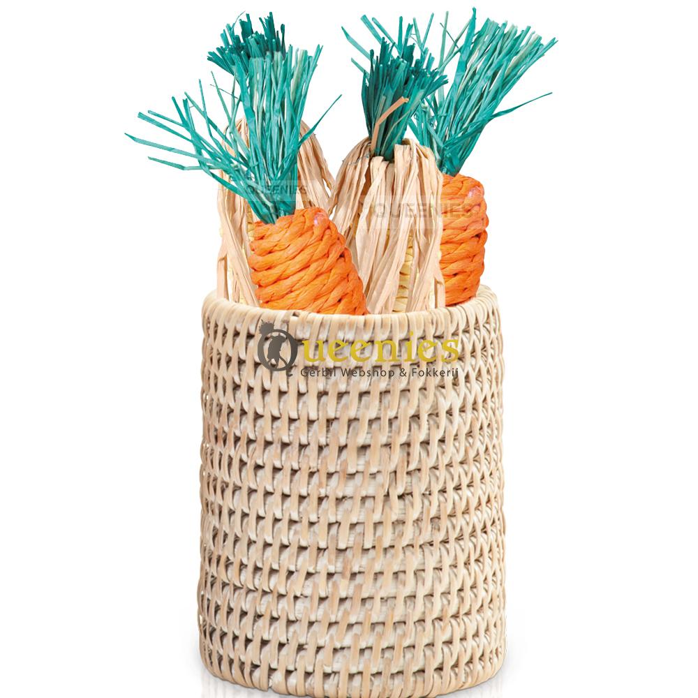 Goedkope speelgoed artikelen voor Konijnen en Knaagdieren