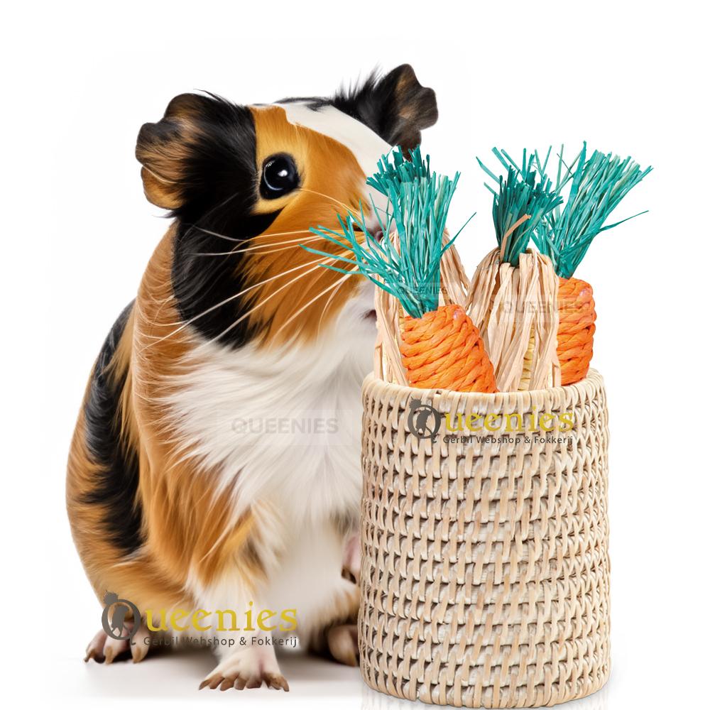 Cavia wortel speelgoed met knaagplezier