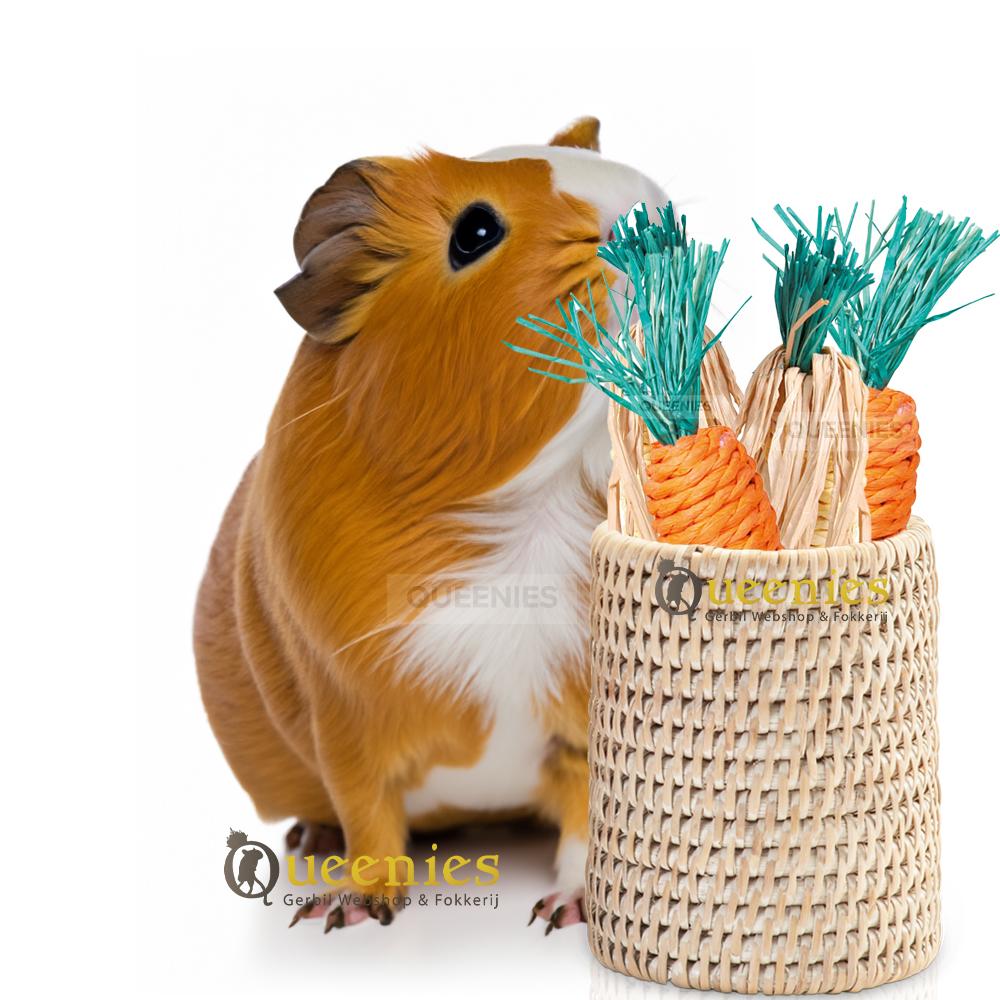 Speelgoed voor Cavia's en Konijnen van Wortel en mais