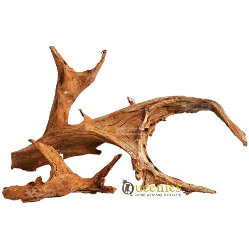 Mangrove wortel in natuurlijke knaagdierkooien