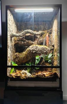 Paludarium voor kleine dieren of planten