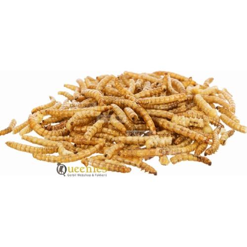 Gevriesdroogde meelwormen voor Knaagdieren