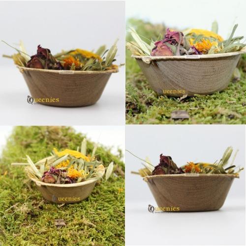 Palmblad Voerschaal voor in Hamsterscaping