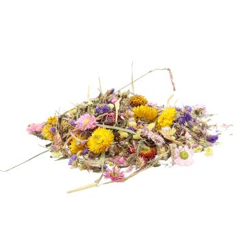 Kleurrijke bloemen voor gerbilverblijven