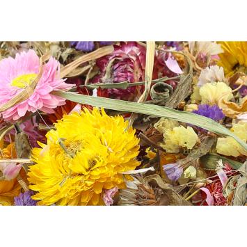 Decoratieve droogbloemen voor hamsters en gerbils