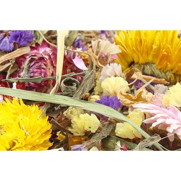 Hamsterscaping bloemenmix met natuurlijke uitstraling