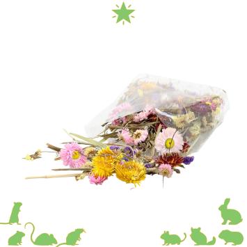 Gevarieerde droogbloemenmix voor hamsterscaping