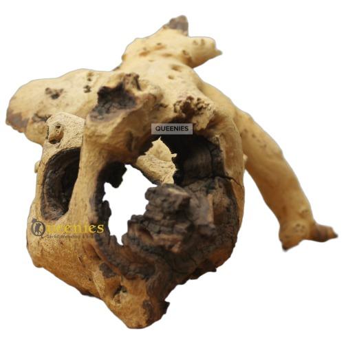 Mopani houtwortel decoratief hout voor terrariumdieren