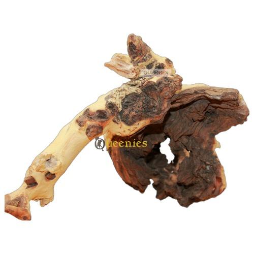 Mopani houtwortel terrariumhout voor Gerbils