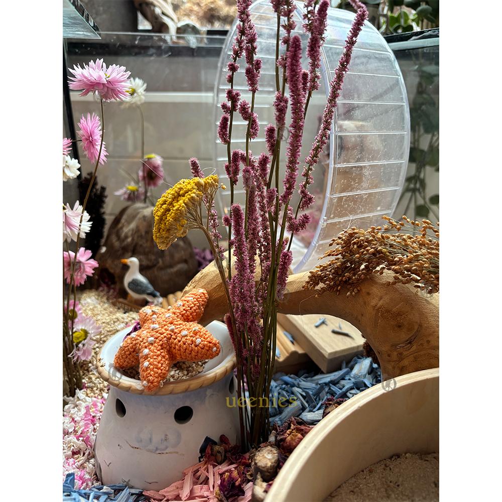 Zeelavendel in Themascape