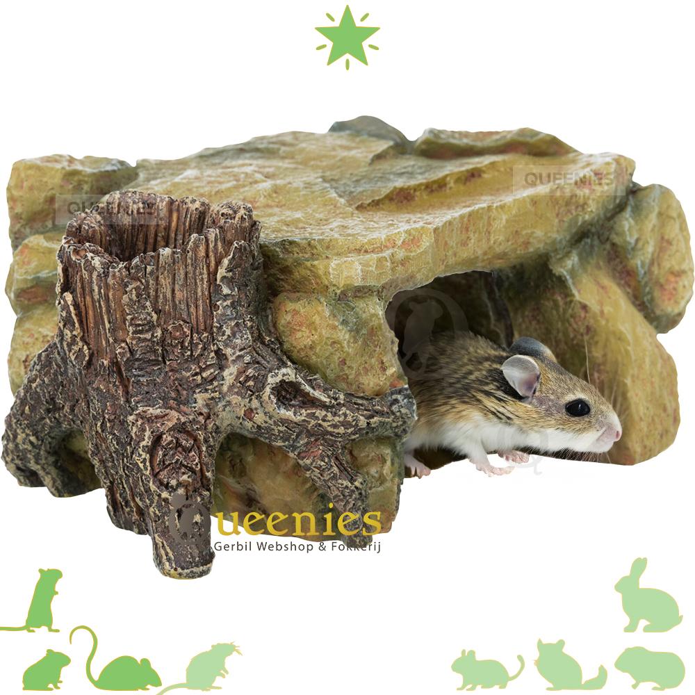 Boomstam Rotsplateau voor knaagdieren