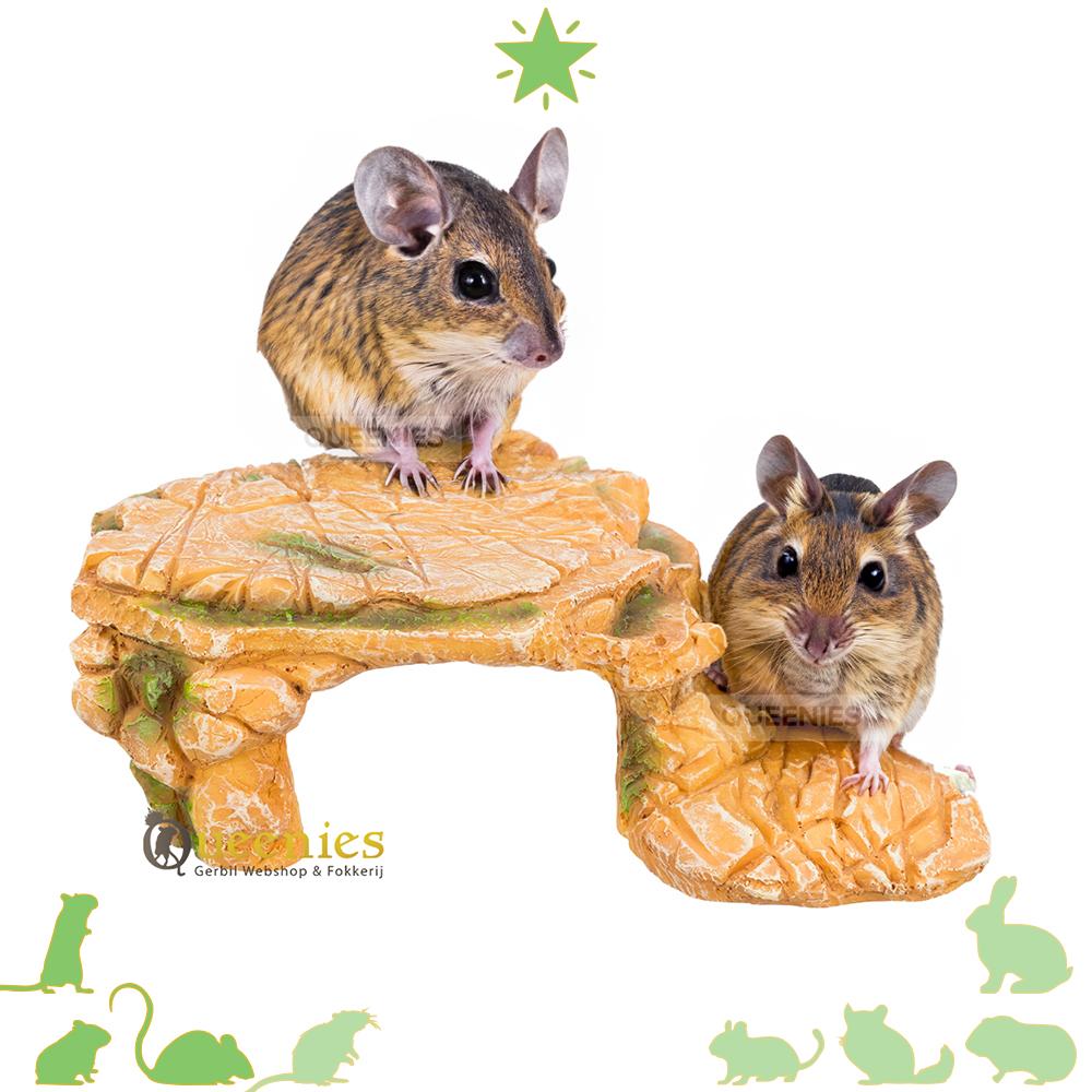 Steppe Rotsplateau met Schuilplaats