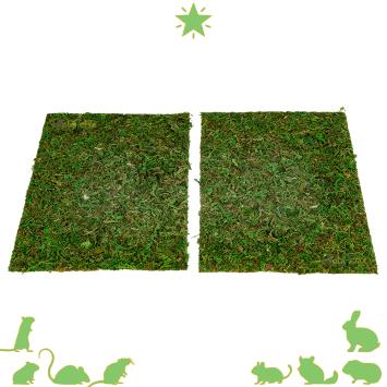 Set van 2 natuurlijke mosmatten voor terrarium