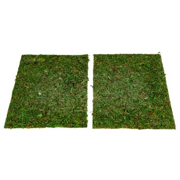 Mosmat voor reptielen terrarium inrichting
