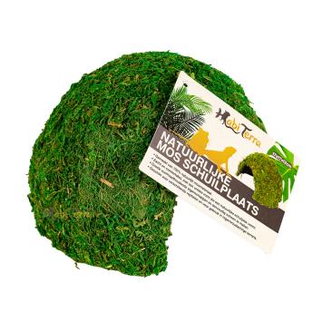 Terrarium schuilplek met groene mosafwerking