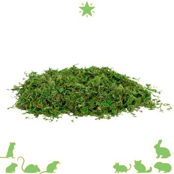 Natuurlijk terrarium mos 100 gram